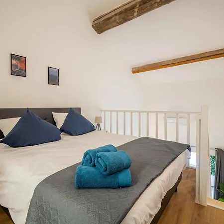 L'hippocrate Duplex A Deux Pas Des Halles Apartment